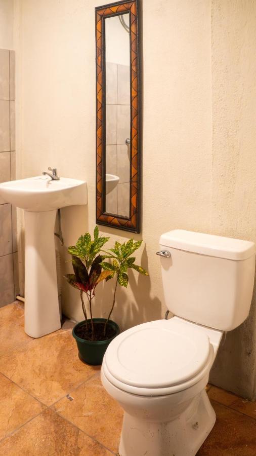 Eco Hotel Puerto Urbano 436 San José Buitenkant foto